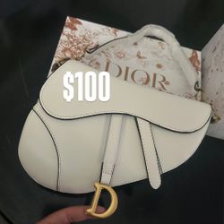 Dior Saddle Bag 