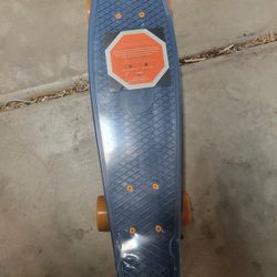 Retrospec Skateboard