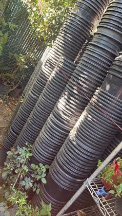 botes de plantas