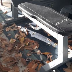 Adjustable  Work Out Bench