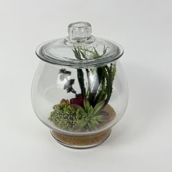Large Terrarium Planter Glass Artificial Succulents