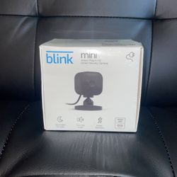 Blink security camera 