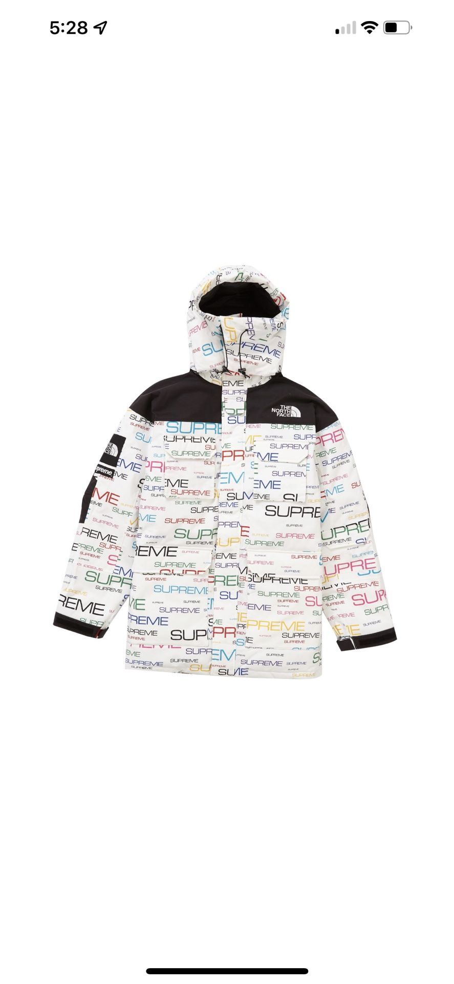 Supreme North Face Steep Tech Parka