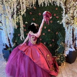 Quinceañera dress and bundle 