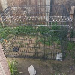 Dog Kennel
