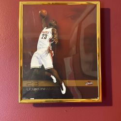 LeBron James Picture