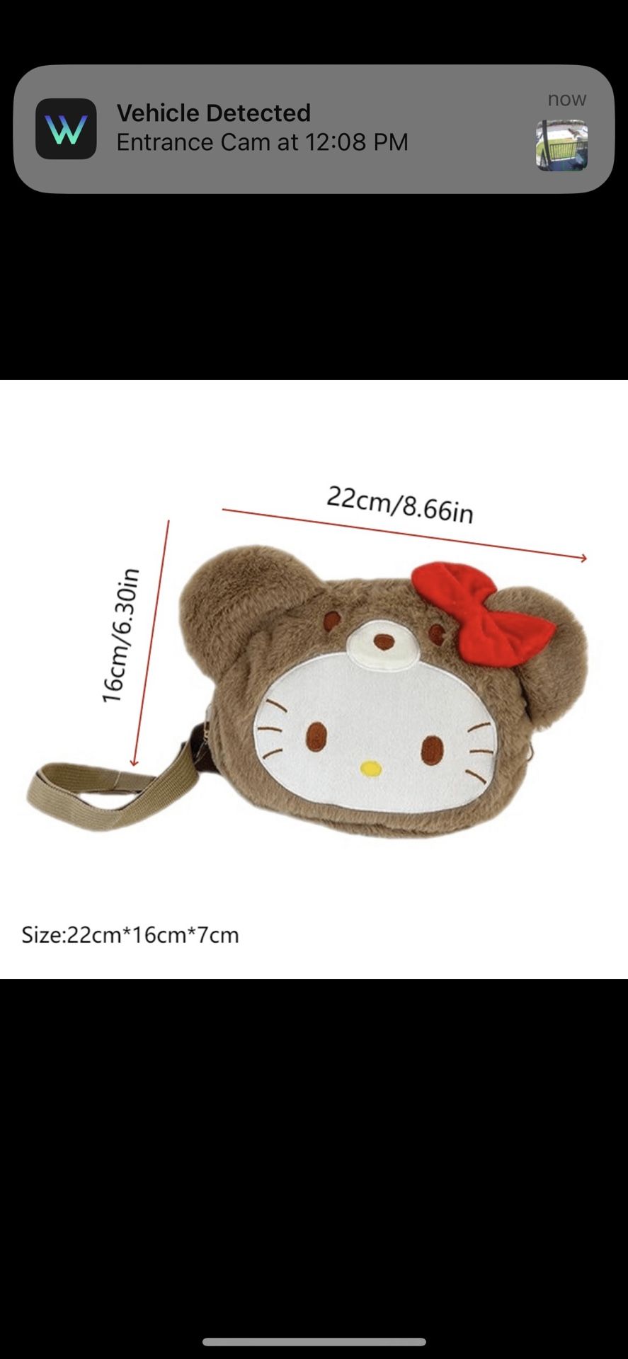 Teddy Bear 🧸 Kitty Crossbody