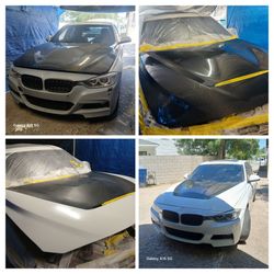 Auto/ Body Paint