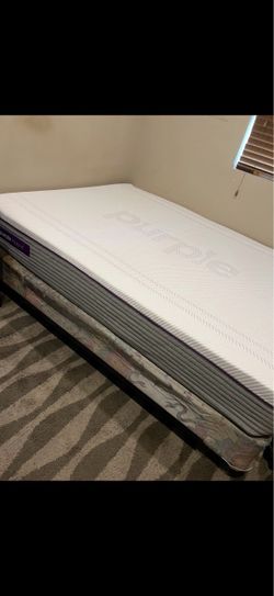 Purple Bed