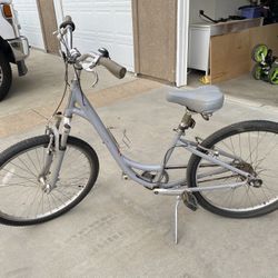 Beach Cruiser/mountain Bike 