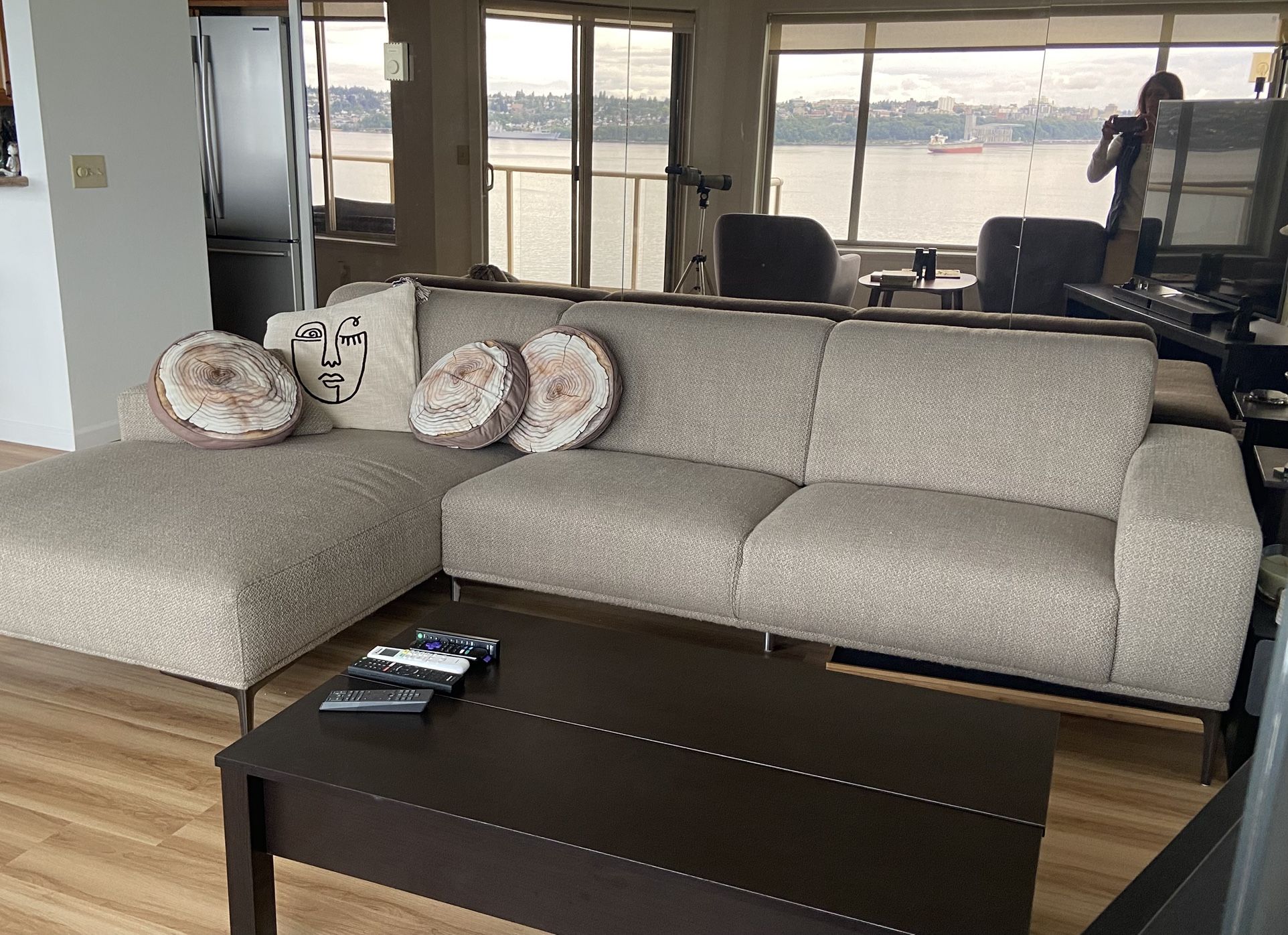 Chaise Sofa