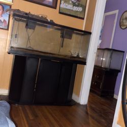 55 Gallon Tank