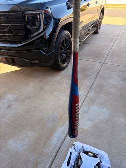 Baseball bag and bat