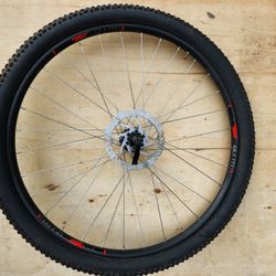 WTB SX19 29" Rim/tire