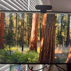 Dell UltraSharp U2720Q 27” 4K UHD (3840 x 2160) LED Backlit IPS USB-C Monitor With Stand