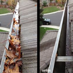 gutter cleaning
