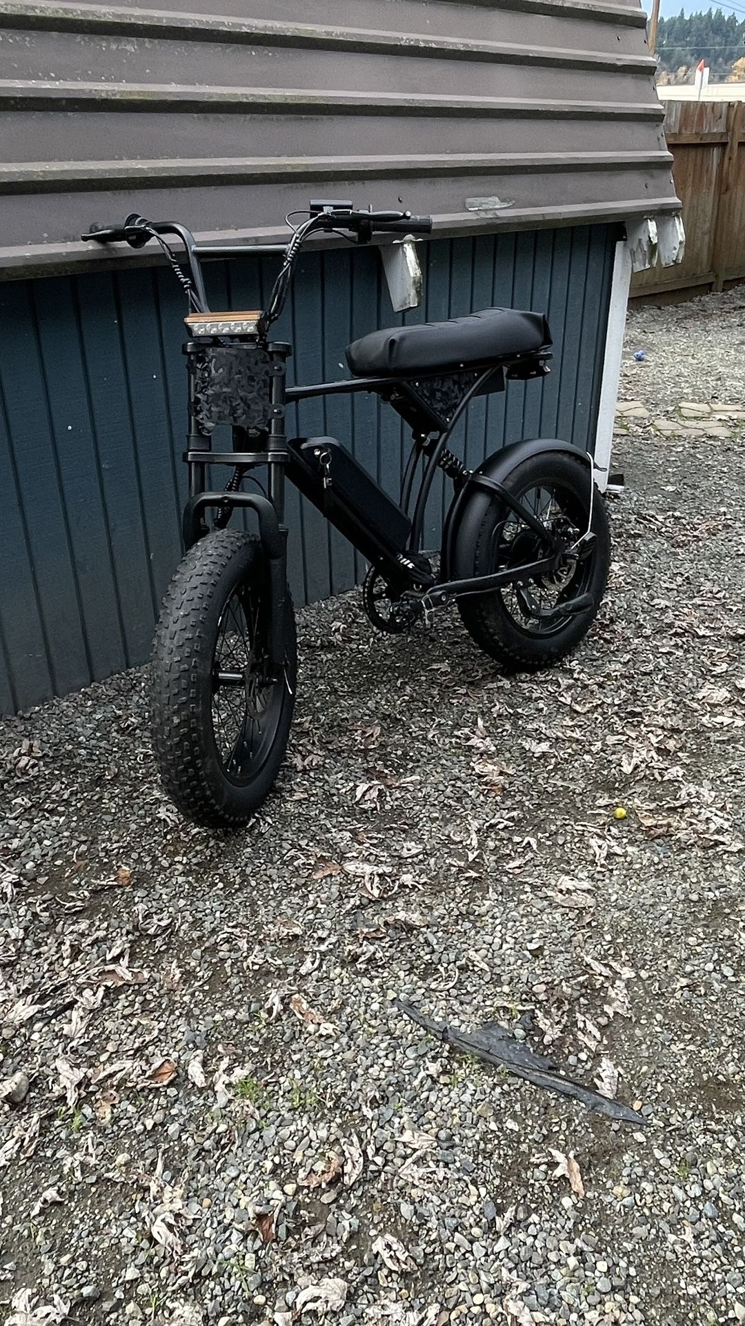Cycrown E Bike