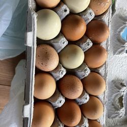 Fresh Eggs Per Dozen 