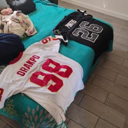 NFL Redskins
