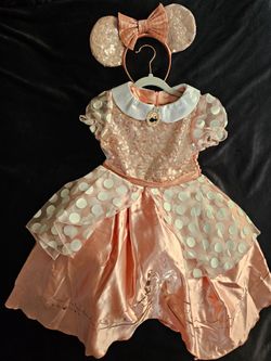 Rose Gold Minnie Mouse Costume