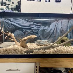 Complete Snake/Lizard Habitat