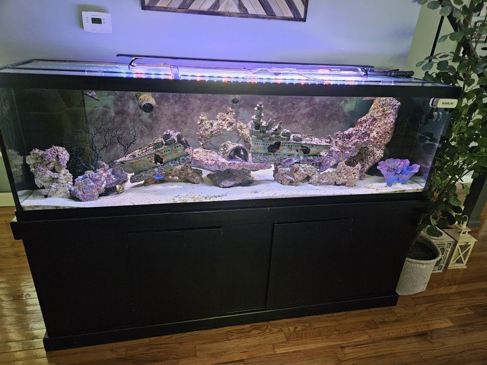 120gal Tank with Stand