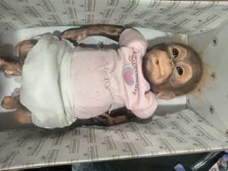 Baby Monkey Realistic
