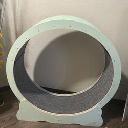 Cat Items