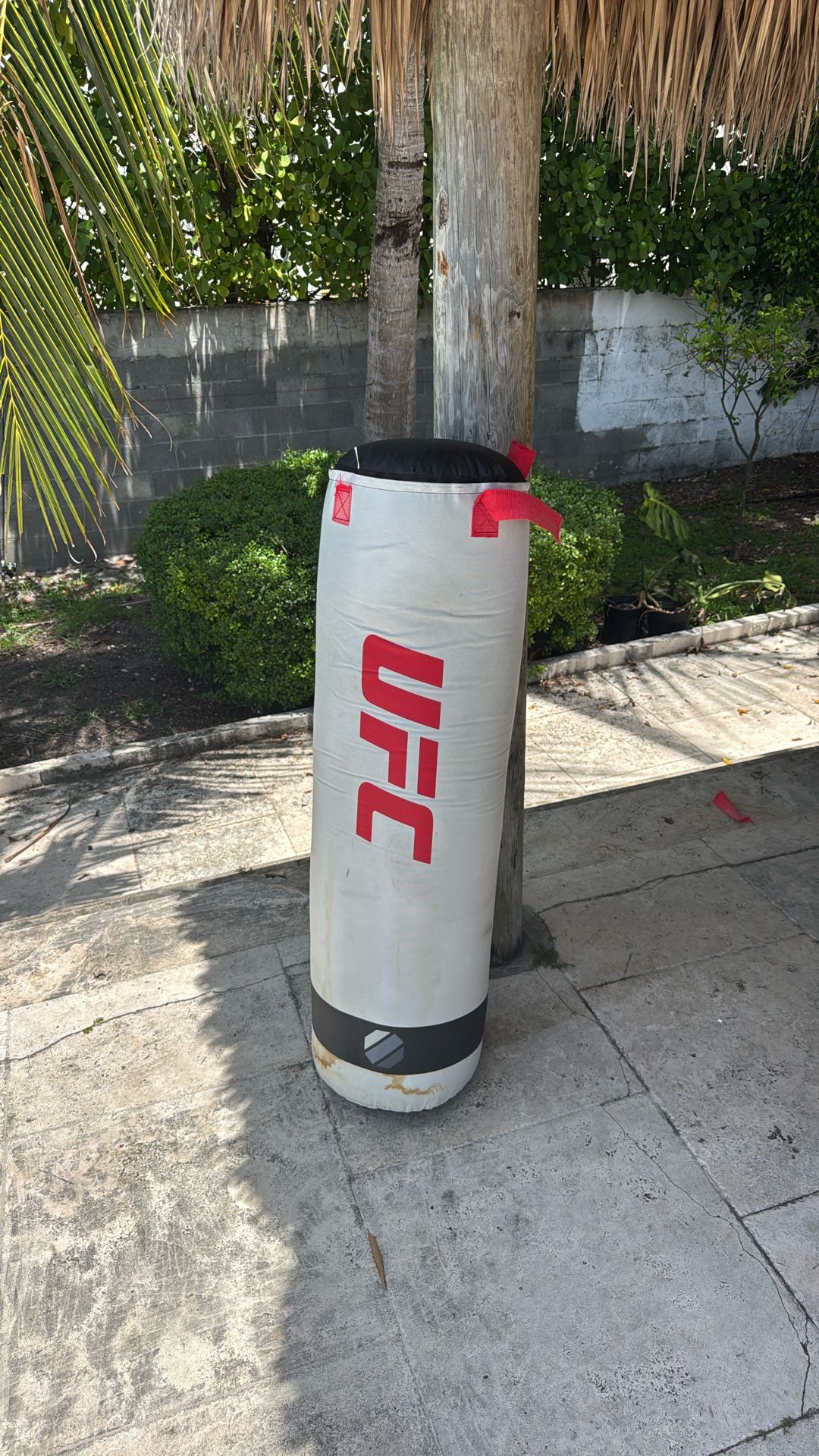 UFC Punching Bag