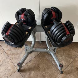 Bowflex Wights Dumbbells 