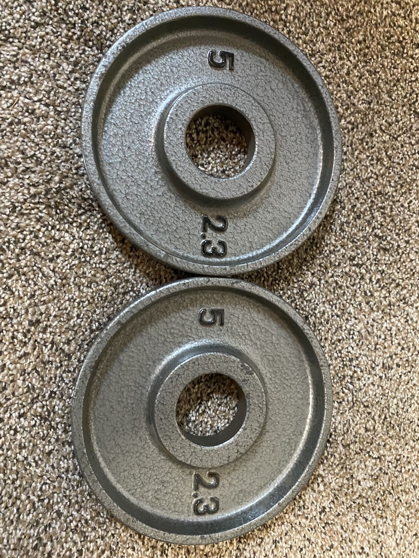 2-Cast Iron 5lb. Olympic Weight Plates