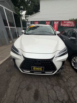 2025 Lexus NX