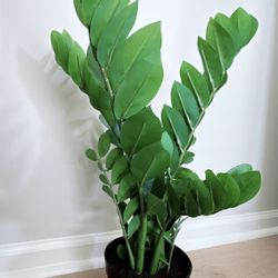 Pottery Barn Faux ZZ Plant