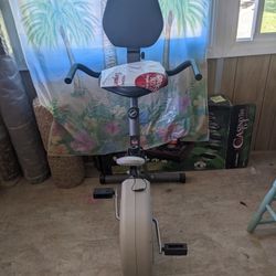 Stamina Recumbent Bike