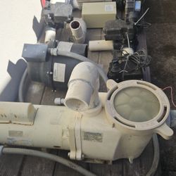 Pentair Whisper Flo 2 Hp pump, Silencer blower 2 Hp 110 V, Jandy never lube actuator & More 200