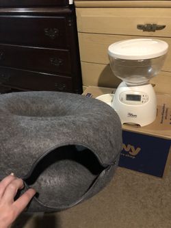 Cat Feeder Automatic And Bed And Toy Kitten Bowl House  Catasaurus 