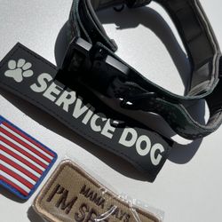 Dog Collar