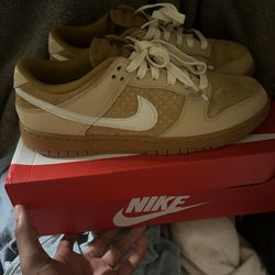 Nike Dunk ( Waffle) Wore 2