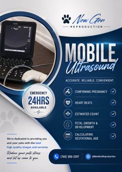 Ultrasound