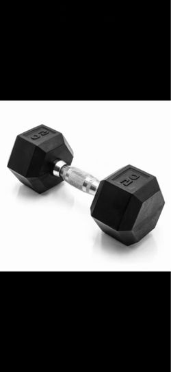 20 Pound Dumbbells Set