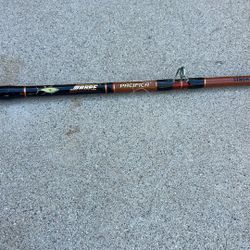 Fishing Pole And Reel Penn 113H