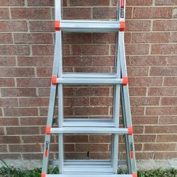 Ladder Little Giant Velocity 