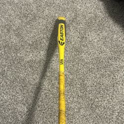 Easton Baseball Bat 30 in. -12