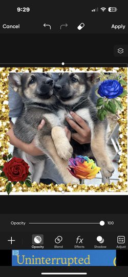 Precessional Photographer’s!!!