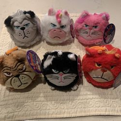 HANGRY PETZ 2024 SERIES 1