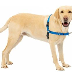 PetSafe Easy Walk No-Pull Dog Harness - The Ultimate Harness to Help Stop Pulling - Take Control & Teach Better Leash Manners - Helps Prevent Pets Pul
