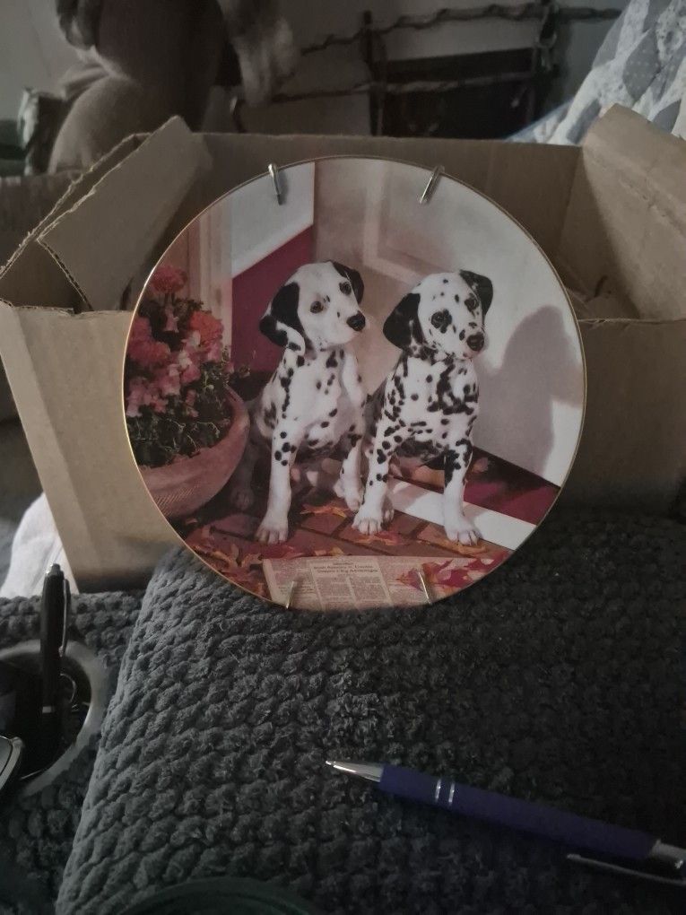 This Is A Collection Plate. On The Back Said Spot