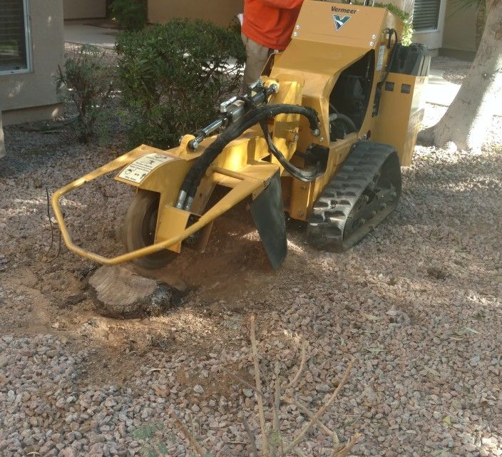 Stump Grind - Stump Grinding