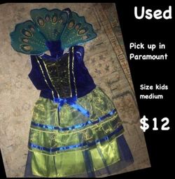 Peacock costume