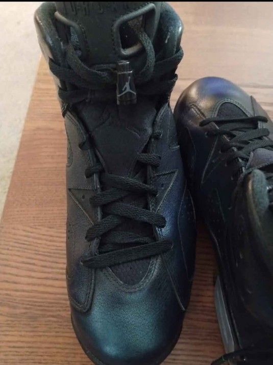 Jordan 6s